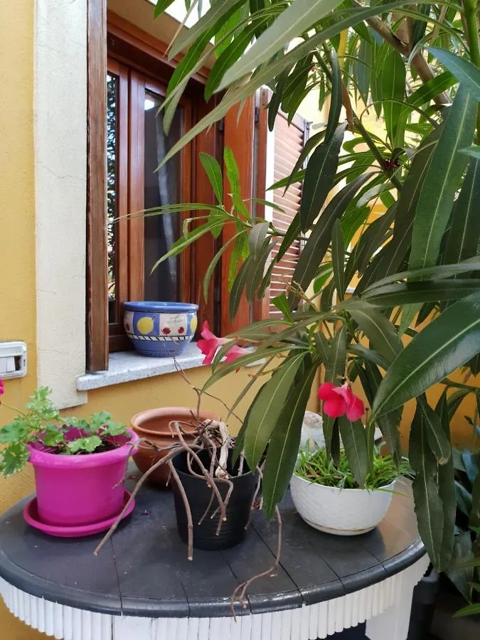 Casa vacanze OleandroRosso Sardegna Olbia casa vacanza